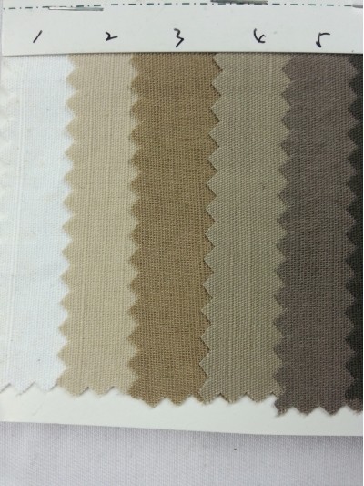 DG-RGFA  全棉細珠竹節 側面照